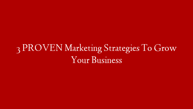 3 PROVEN Marketing Strategies To Grow Your Business