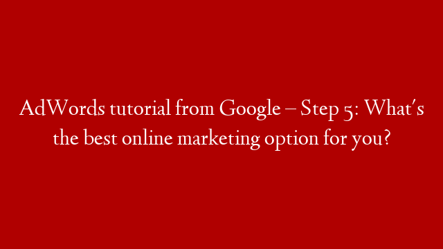AdWords tutorial from Google – Step 5: What's the best online marketing option for you?