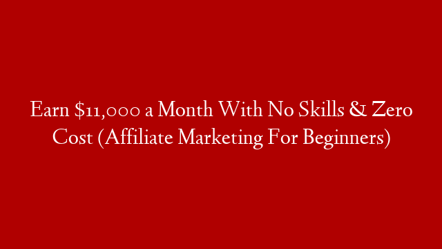 Earn $11,000 a Month With No Skills & Zero Cost (Affiliate Marketing For Beginners)