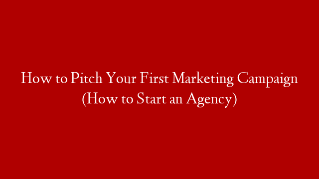 How to Pitch Your First Marketing Campaign (How to Start an Agency)