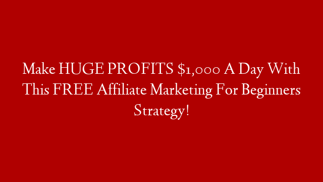 Make HUGE PROFITS $1,000 A Day With This FREE Affiliate Marketing For Beginners Strategy!