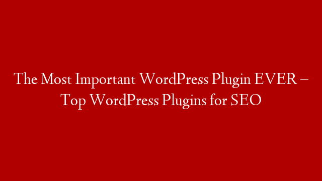 The Most Important WordPress Plugin EVER – Top WordPress Plugins for SEO