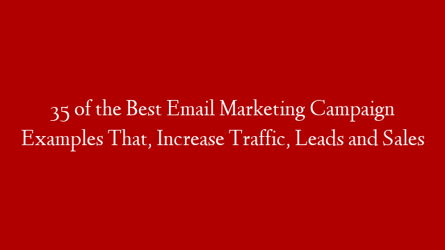 35 of the Best Email Marketing Campaign Examples That, Increase Traffic, Leads and Sales
