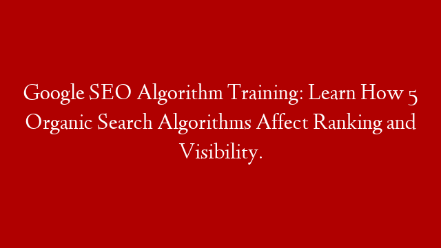 Google SEO Algorithm Training:  Learn How 5 Organic Search Algorithms Affect Ranking and Visibility.
