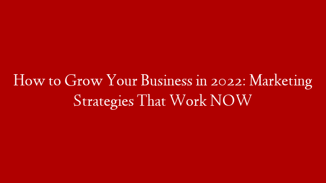 How to Grow Your Business in 2022: Marketing Strategies That Work NOW