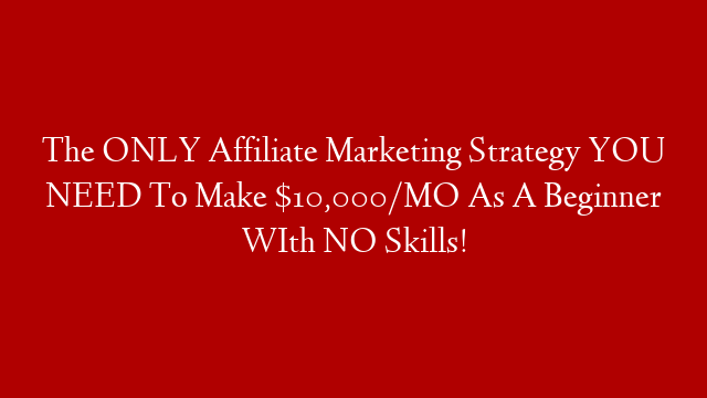The ONLY Affiliate Marketing Strategy YOU NEED To Make $10,000/MO As A Beginner WIth NO Skills! post thumbnail image