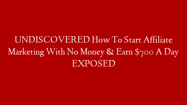 UNDISCOVERED How To Start Affiliate Marketing With No Money & Earn $700 A Day EXPOSED