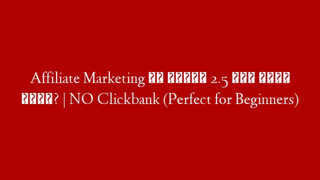 Affiliate Marketing से मैंने 2.5 लाख कैसे कमाए? | NO Clickbank (Perfect for Beginners)