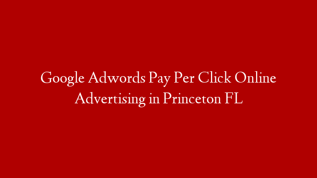 Google Adwords Pay Per Click Online Advertising in  Princeton FL