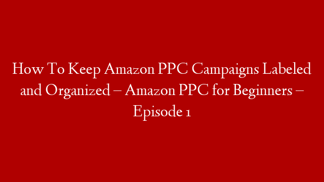 How To Keep Amazon PPC Campaigns Labeled and Organized – Amazon PPC for Beginners – Episode 1