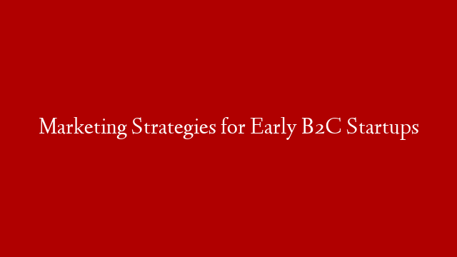 Marketing Strategies for Early B2C Startups