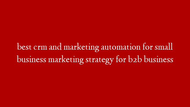 best crm and marketing automation for small business marketing strategy for b2b business
