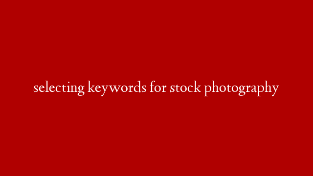 selecting keywords for stock photography