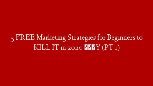 5 FREE Marketing Strategies for Beginners to KILL IT in 2020 🔥 (PT 1)