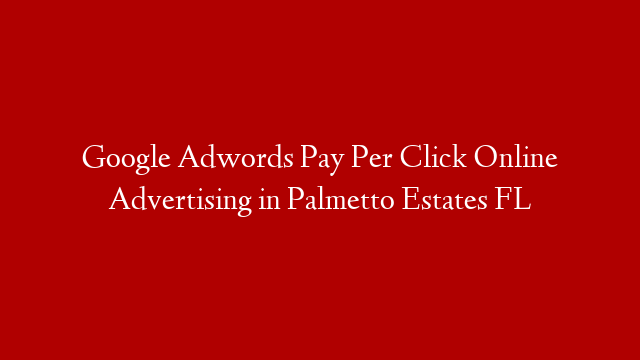 Google Adwords Pay Per Click Online Advertising in  Palmetto Estates FL