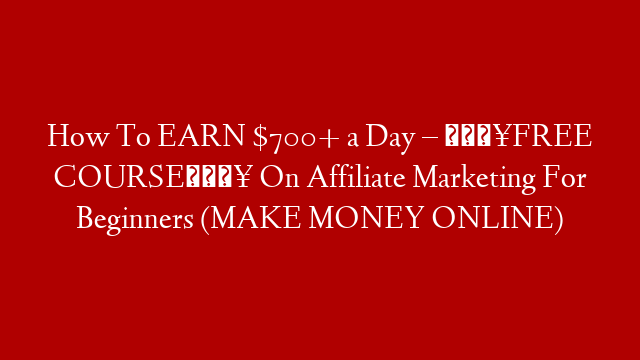 How To EARN $700+ a Day – 🔥FREE COURSE🔥 On Affiliate Marketing For Beginners (MAKE MONEY ONLINE)