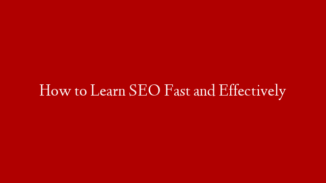 How to Learn SEO Fast and Effectively