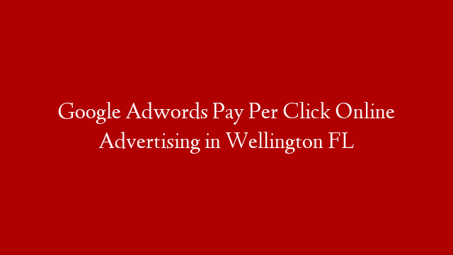 Google Adwords Pay Per Click Online Advertising in  Wellington FL