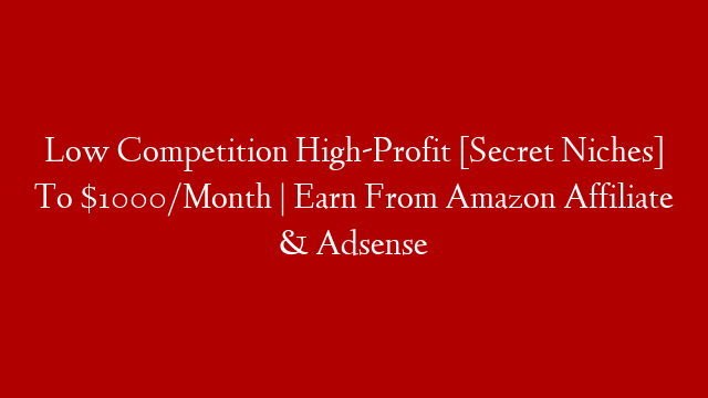 Low Competition High-Profit [Secret Niches] To $1000/Month | Earn From Amazon Affiliate & Adsense