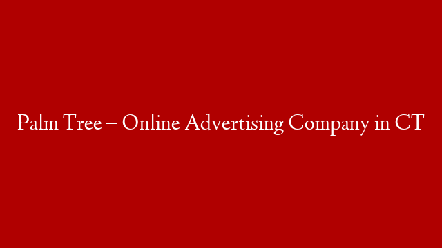 Palm Tree – Online Advertising Company in CT