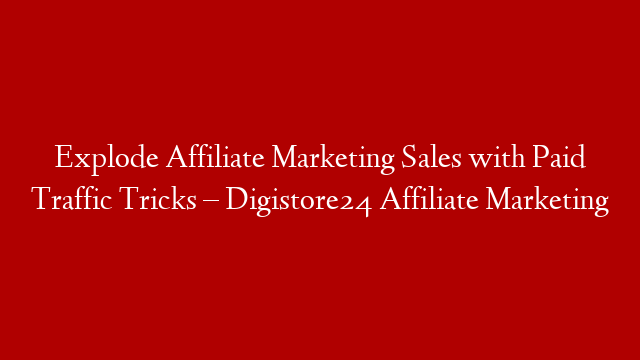 Explode Affiliate Marketing Sales with Paid Traffic Tricks – Digistore24 Affiliate Marketing post thumbnail image