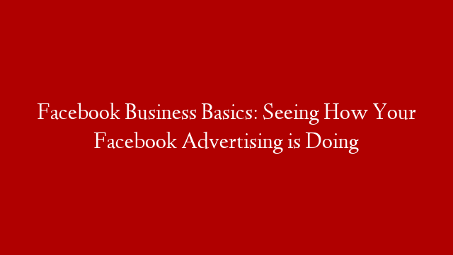 Facebook Business Basics: Seeing How Your Facebook Advertising is Doing