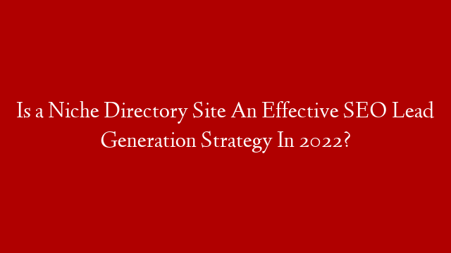 Is a Niche Directory Site An Effective SEO Lead Generation Strategy In 2022?