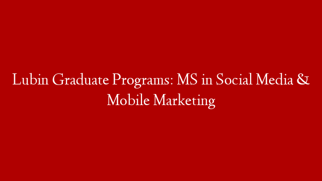 Lubin Graduate Programs: MS in Social Media & Mobile Marketing