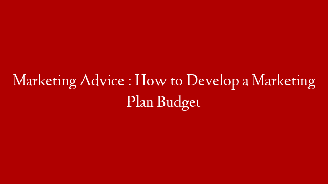 Marketing Advice : How to Develop a Marketing Plan Budget
