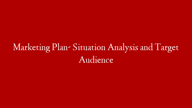 Marketing Plan- Situation Analysis and Target Audience