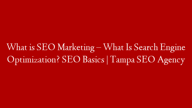 What is SEO Marketing – What Is Search Engine Optimization? SEO Basics | Tampa SEO Agency post thumbnail image