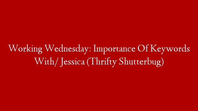Working Wednesday: Importance Of Keywords With/ Jessica (Thrifty Shutterbug)