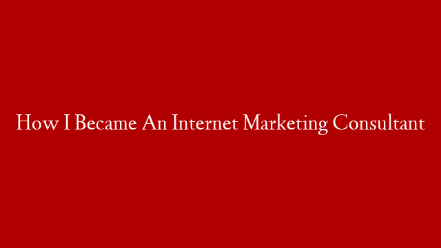 How I Became An Internet Marketing Consultant
