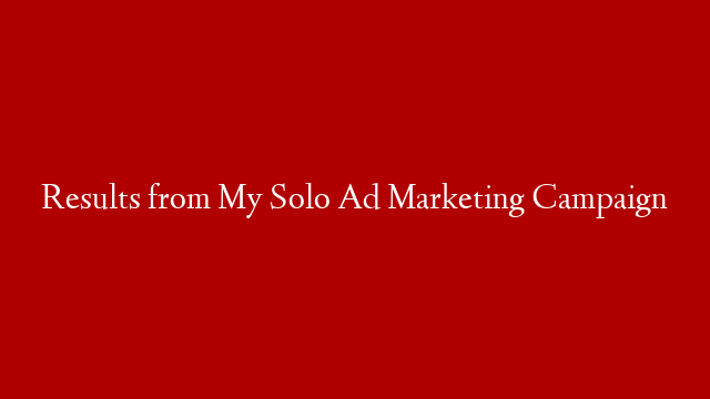 Results from My Solo Ad Marketing Campaign
