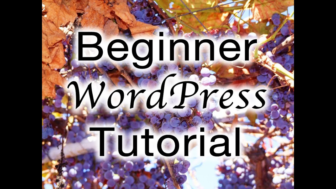 Beginner WordPress Tutorial (Free 90-Minute eCourse) post thumbnail image