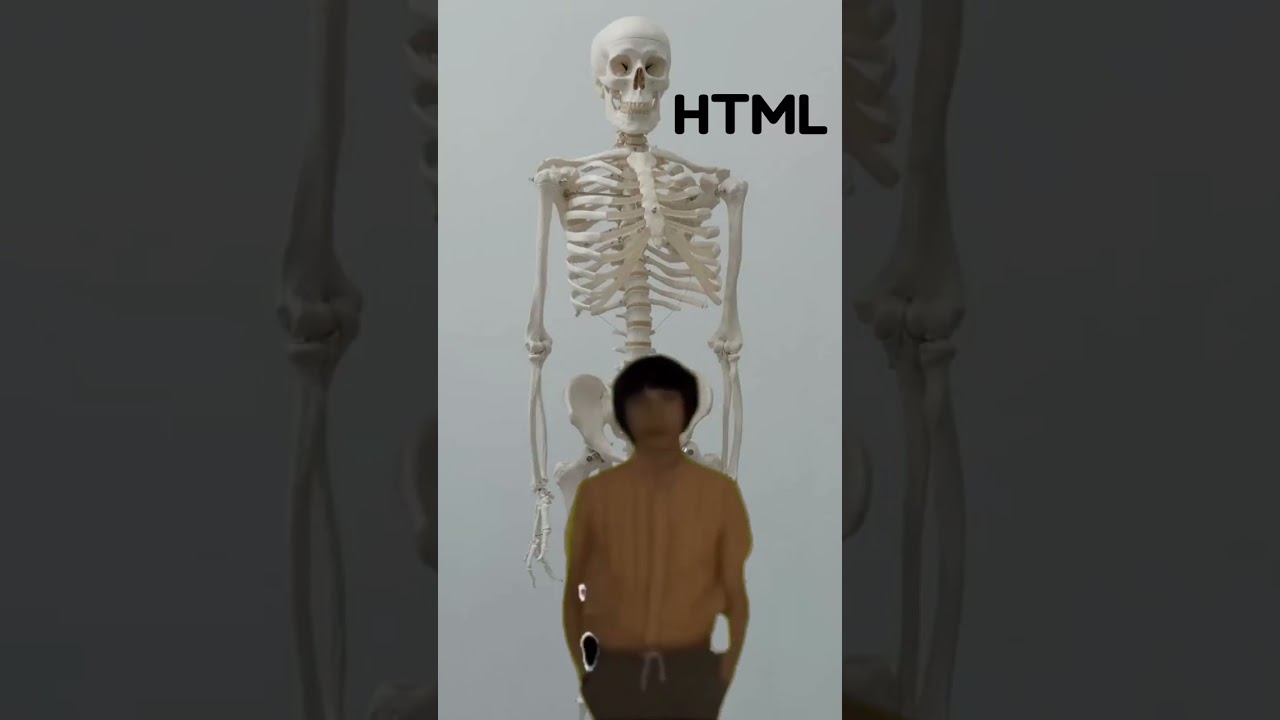 HTML and CSS Explained | #shorts #memes post thumbnail image
