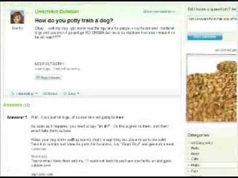 Traffic Generation Part 3 – Yahoo Answers For Targeted Traffic post thumbnail image